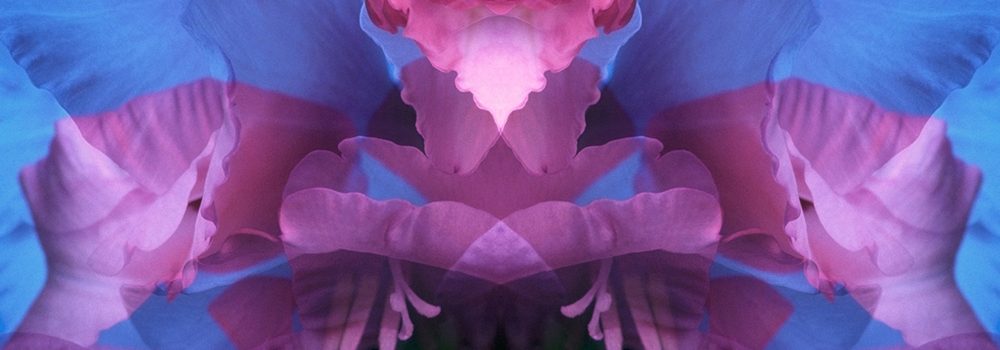 mrp_florafusion_MC011